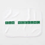 Second Breakfast  Burp Cloth