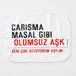 CaRiSMa  MaSaL GiBi   Burp Cloth