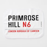 primrose hill  Burp Cloth