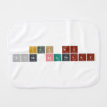 ITS MY 17th BIRTHDAY  Burp Cloth