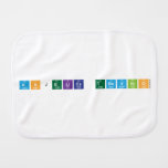 anjelica trevino  Burp Cloth