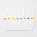 n o  b i tc h e s  Burp Cloth