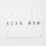 Vista esteam  Burp Cloth