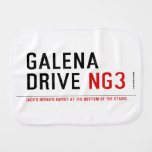galena drive  Burp Cloth