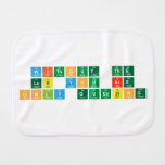 Without the
 lab you are
 only guessing  Burp Cloth