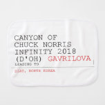 Canyon of chuck norris INFinity 2018 (D'oh)  Burp Cloth