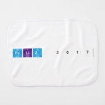 Feliz 2017  Burp Cloth