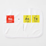 NE-ASTE
   Burp Cloth