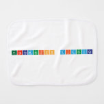 PROGRAMACION DIDACTICA  Burp Cloth