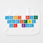Yoshi never
 committed
 tax fraud  Burp Cloth