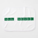 Noel Ramirez  Burp Cloth