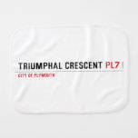 Triumphal Crescent  Burp Cloth