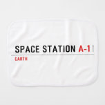 Space Station  Burp Cloth
