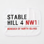 stable hill 4  Burp Cloth