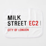 Milk  Street  Burp Cloth