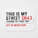 This is my  street  Burp Cloth