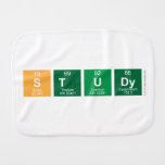 Study  Burp Cloth