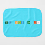 how old am i?  Burp Cloth