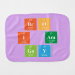 Bro
 I am
 Gay  Burp Cloth