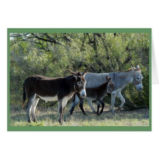 "Burro Family" Cards (Front Horizontal)