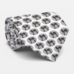 Burro Frenzy (Choose Colour) Neck Tie