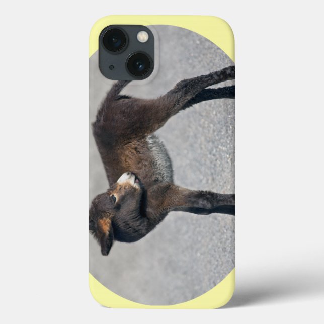 Burro iPad Case (Back)