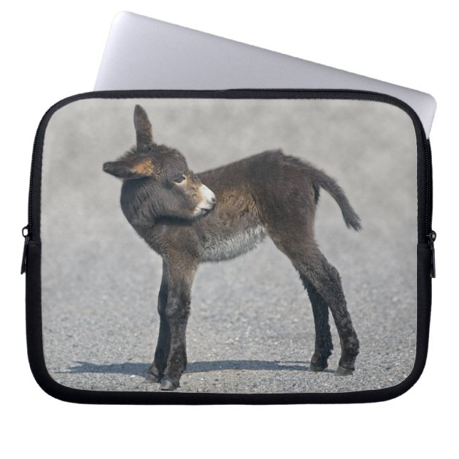 Burro Laptop Sleeve (Front)