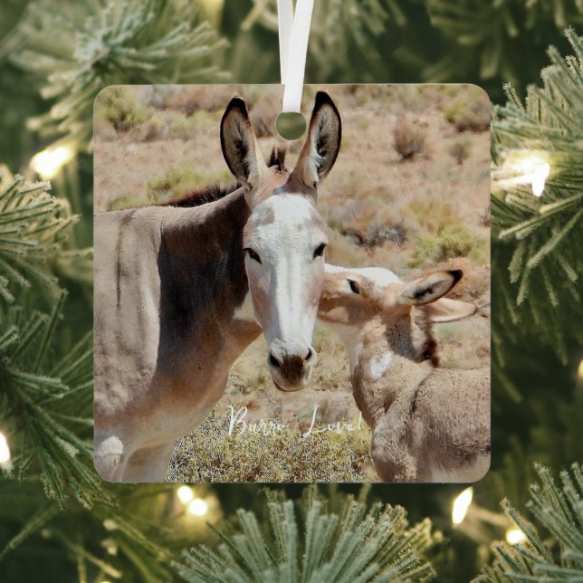Burro Love Ornament (Insitu)