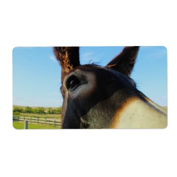 Burro Up Close Label by TerryBainPhoto at Zazzle