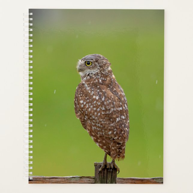 Burrowing Owl 2026 Planner: FL Spring Wildlife Planner (Front)
