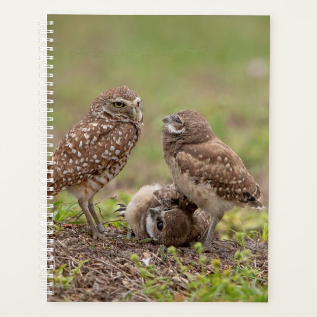 Burrowing Owl 2026 Planner: FL Spring Wildlife Planner (Front)