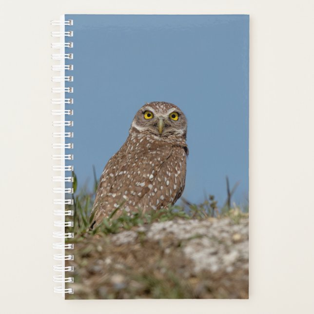 Burrowing Owl 2026 Planner | Florida Wildlife (Front)
