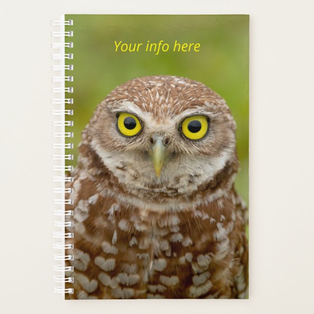 Burrowing Owl 2026 Planner | Nature & Wildlife (Front)