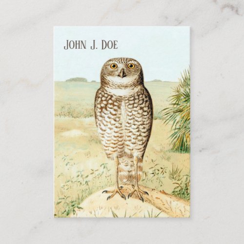 Burrowing Owl 2_Sided Business Card for Birders