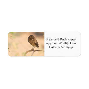 Burrowing Owl at sunrise Label