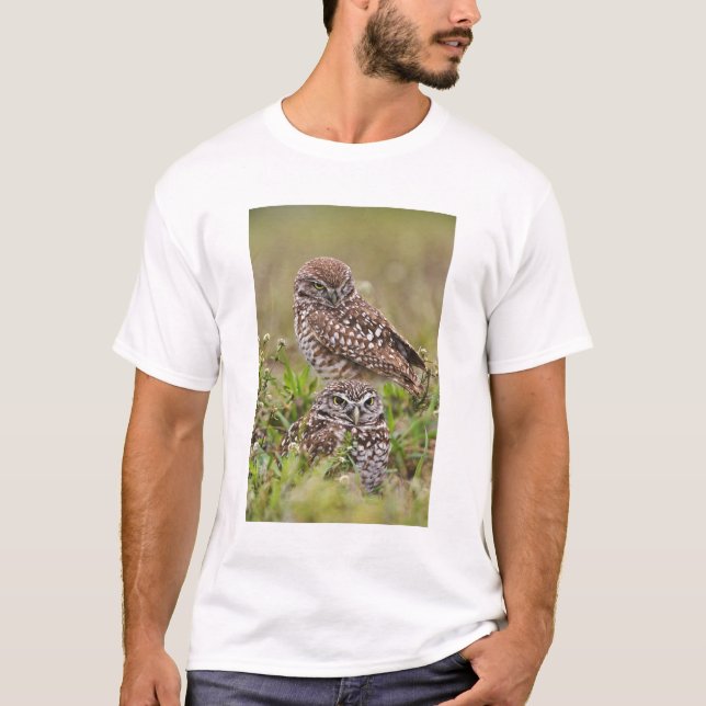 Burrowing Owl, Athene cunicularia, Cape Coral, T-Shirt (Front)