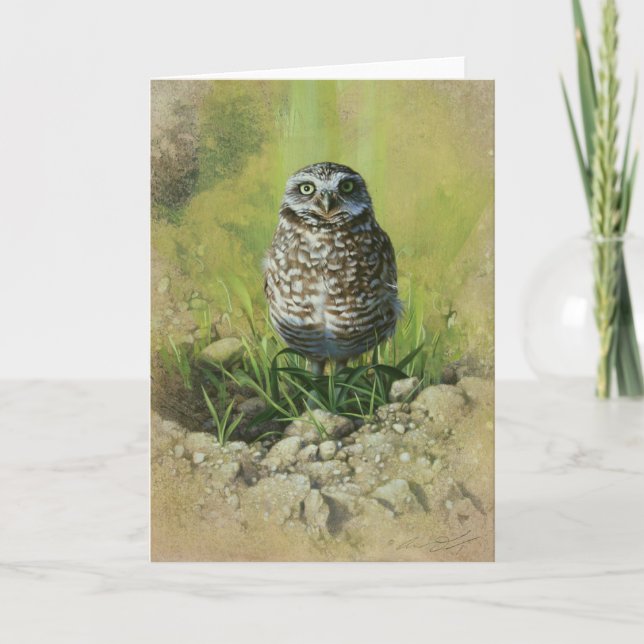 Burrowing Owl, Blank Greetin Card by Andrew Denman (Front)
