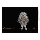 Burrowing Owl Card