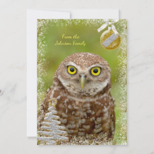 Burrowing Owl Christmas Card