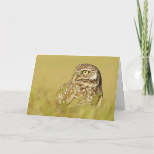 Burrowing Owl Close Up Profile Greeting Card