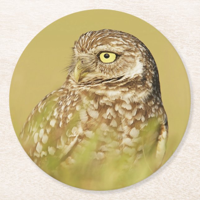 Burrowing Owl Close Up Profile Paper Coasters (Front)