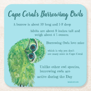 Burrowing Owl Coastal Art Cape Coral Florida Square Paper Coaster