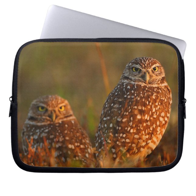 burrowing owl couple laptop sleeve (Front)