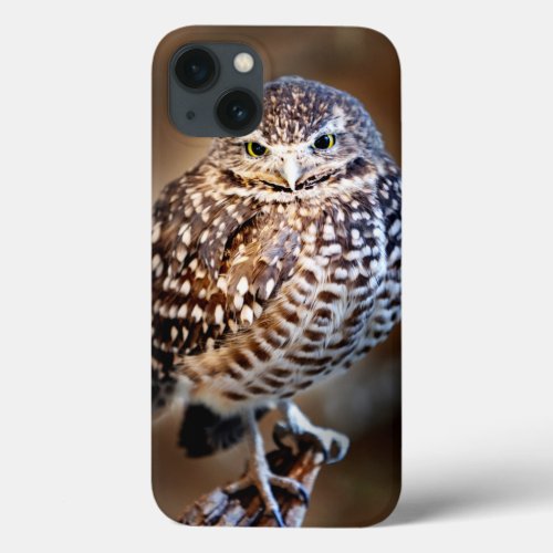 Burrowing Owl iPhone Case