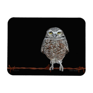 Burrowing Owl Magnet