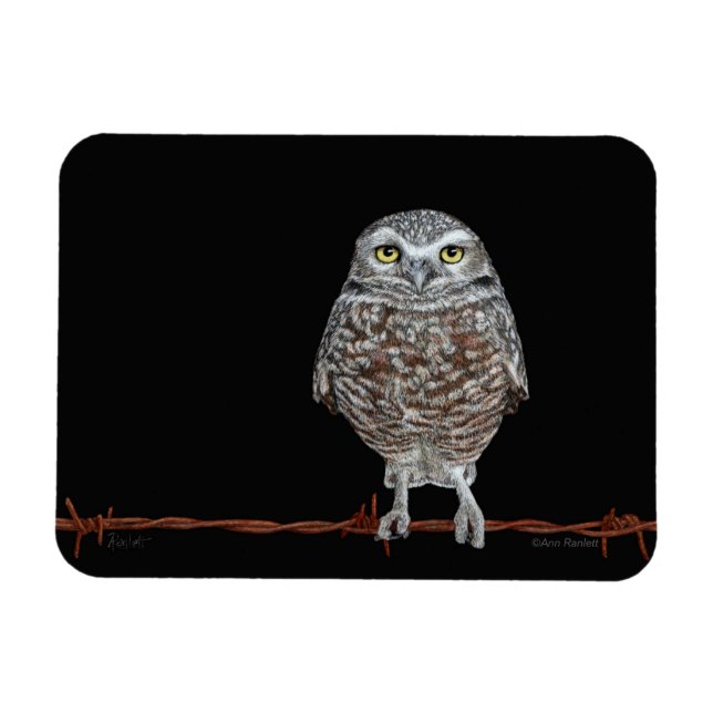 Burrowing Owl Magnet (Horizontal)