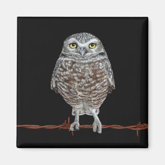 Burrowing Owl Magnet