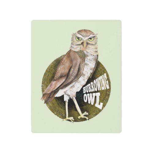 Burrowing owl metal print