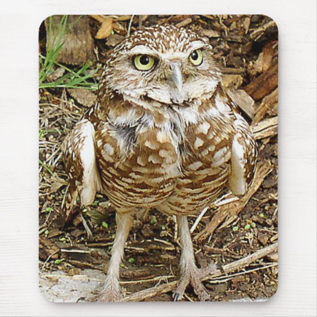Burrowing Owl Mousepad (Front)