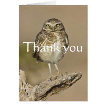 Burrowing Owl on a stick, Thank you Card Burrowing Owl on a stick, Thank you Card